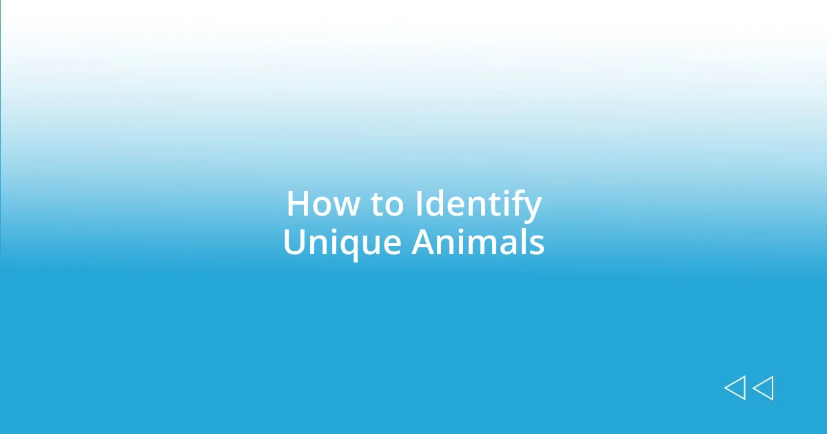 How to Identify Unique Animals