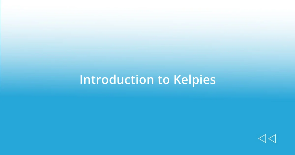 Introduction to Kelpies