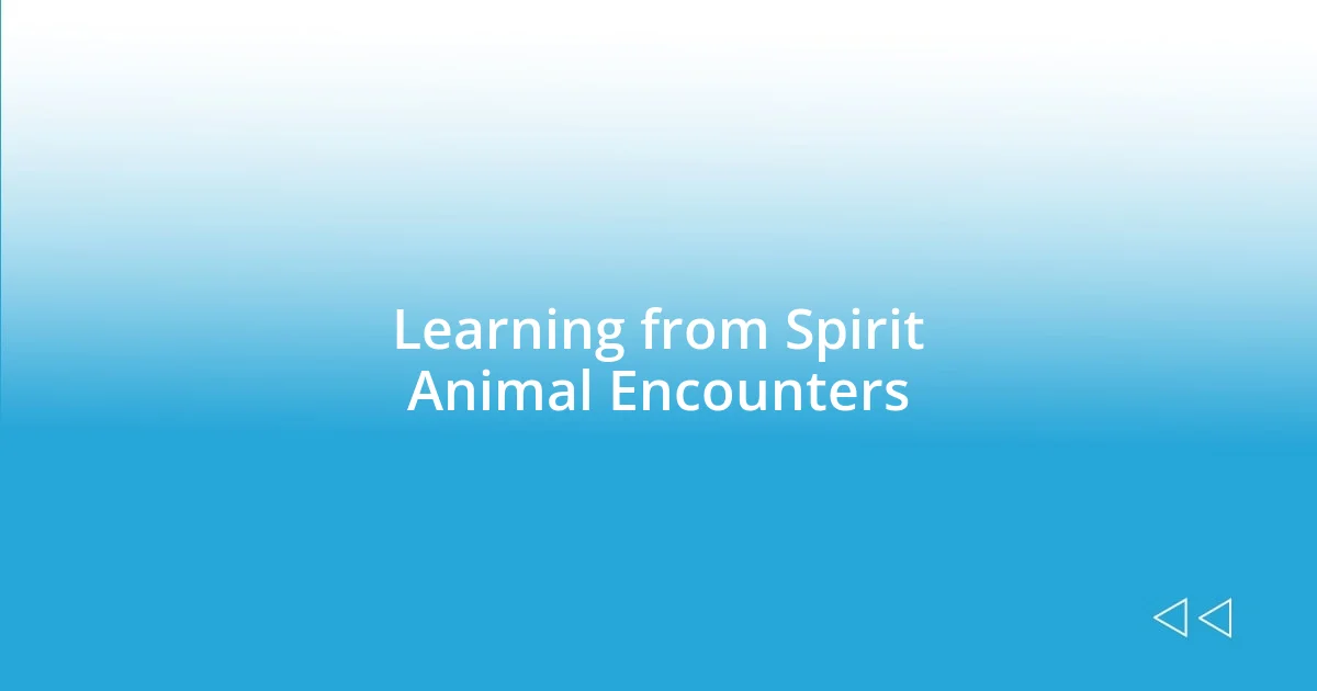 Learning from Spirit Animal Encounters